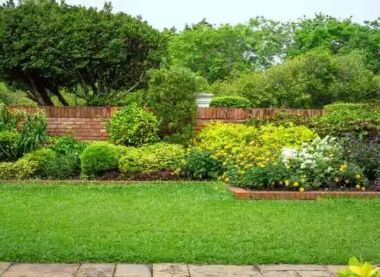 landscaping services Chamberino